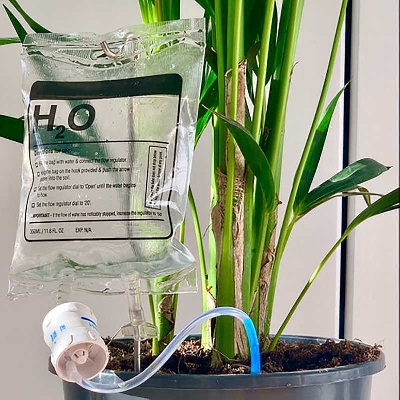Plant Parent Kit - Garden 350ML Lazy Potted Plant Watering