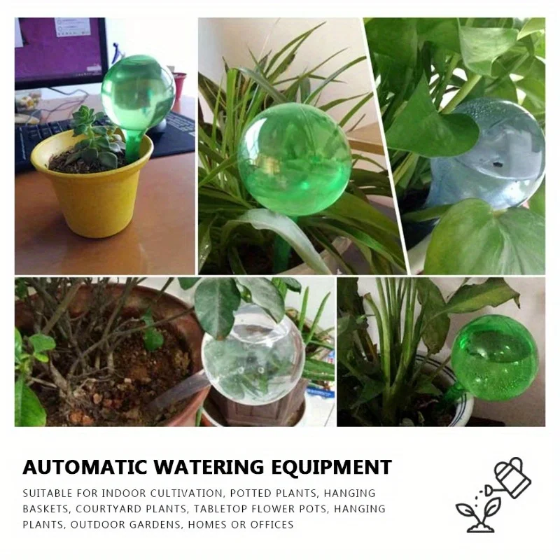6PCS Indoor Plants Self Wateri - đánh giá và giá Plant Parent Kit