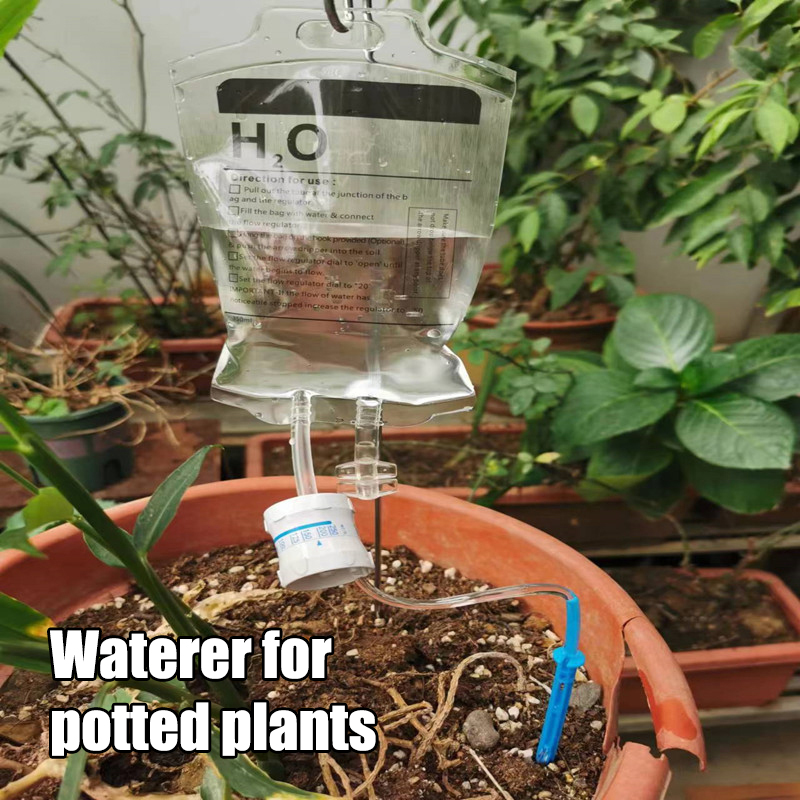 Garden 350ML Lazy Potted Plant - đánh giá và giá Plant Parent Kit
