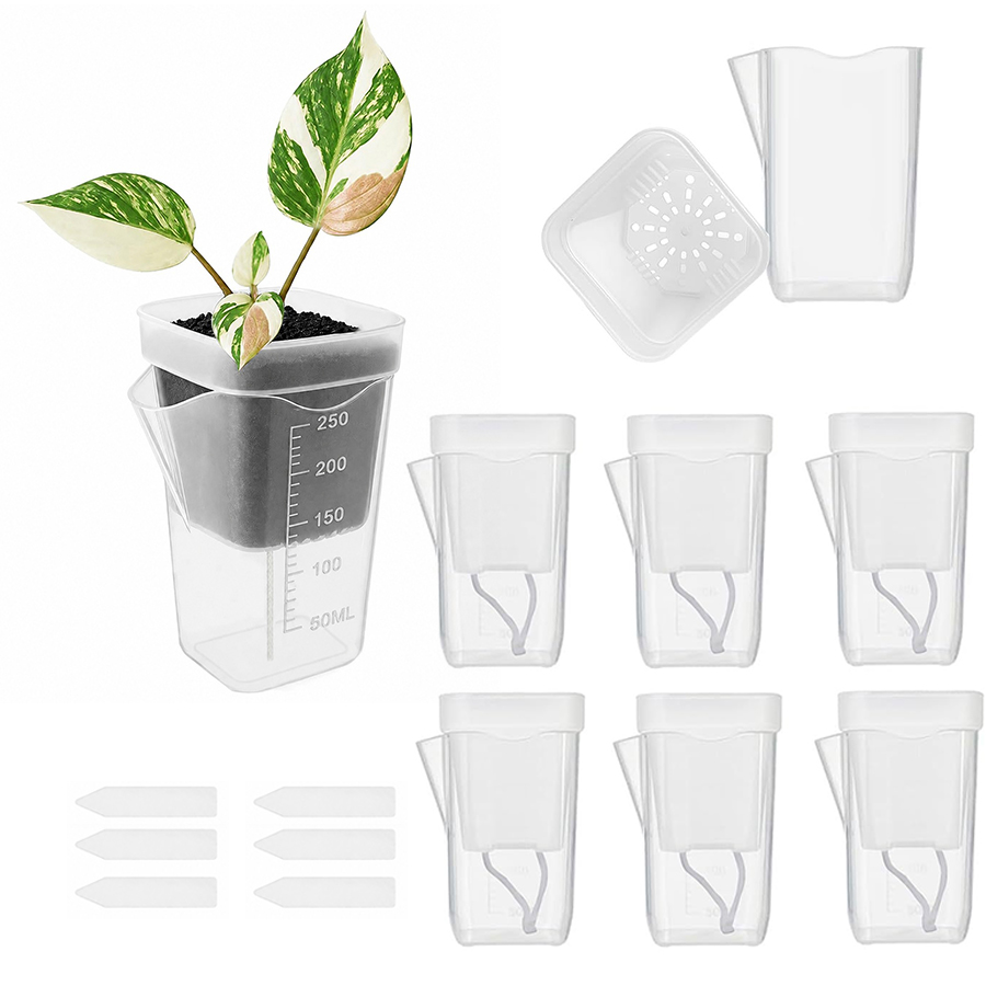 12/24PCS Self Watering Succule - đánh giá và giá Plant Parent Kit