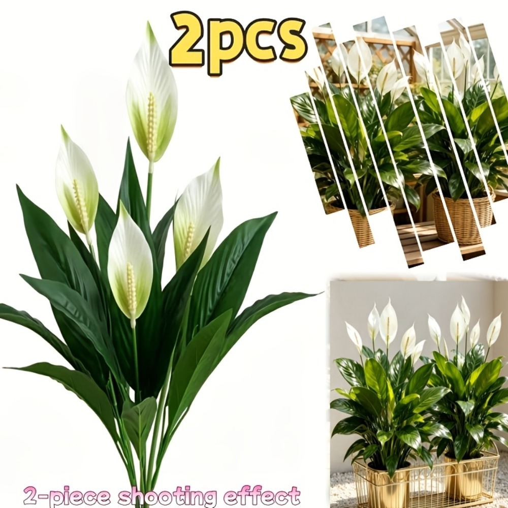 2 Piece High Quality Large Art - đánh giá và giá Peace Lily White